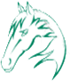 rio logo